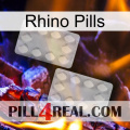 Rhino Pills 17